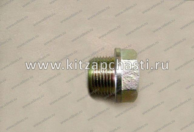 Пробка сливная заднего моста TANK 400 2400020D01