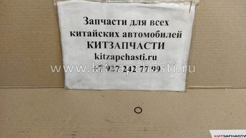 КОЛЬЦО УПЛОТНИТЕЛЬНОЕ Chery Tiggo FL, Vortex Tingo FL E4G16-1303132