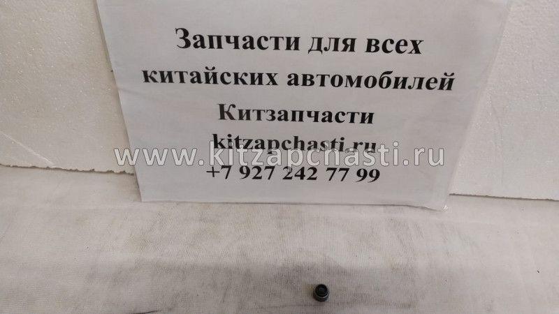 Колпачок маслосъемный выпускной Lifan Breez LF479Q1-1007017A